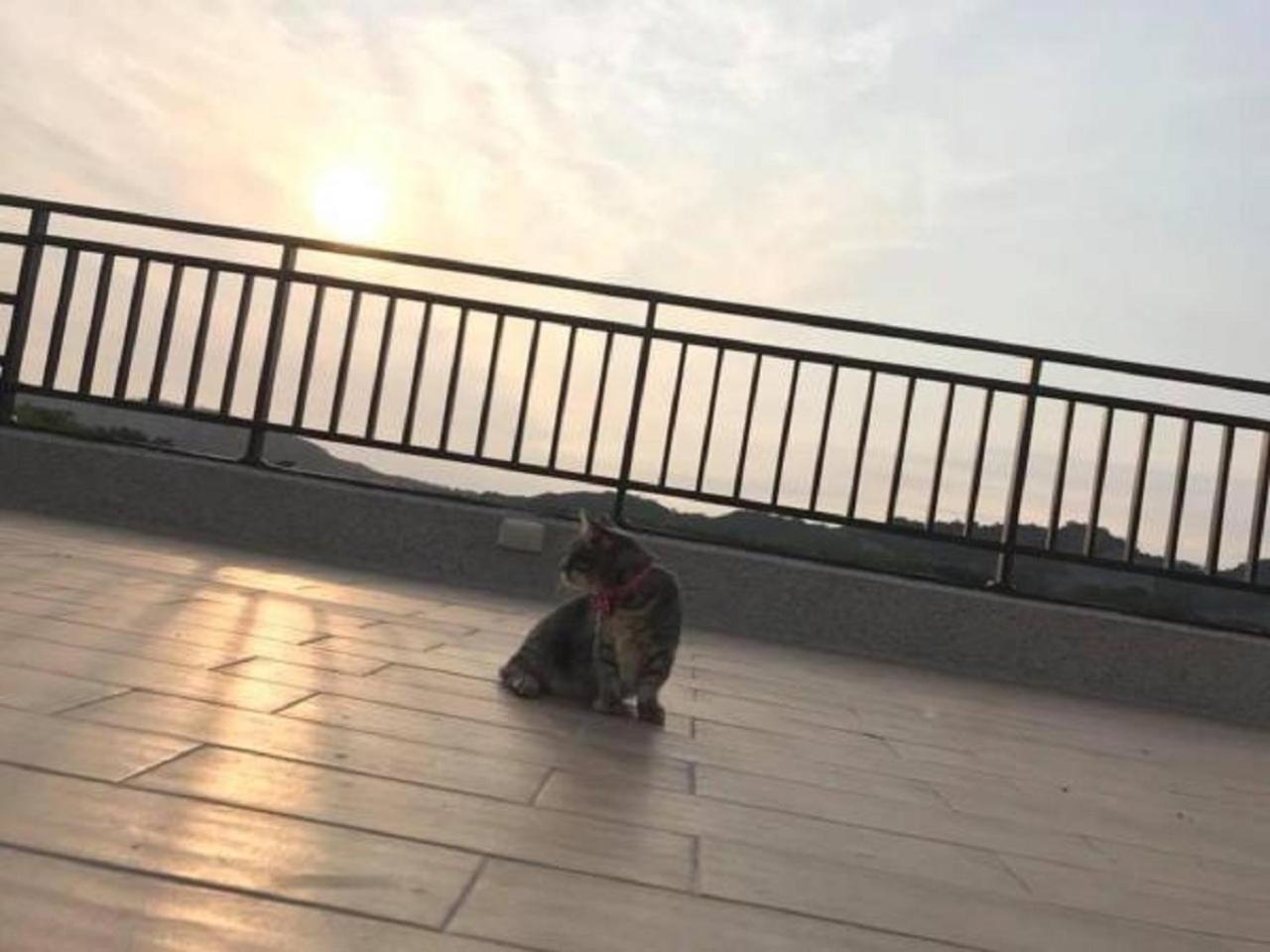 Sunny Sky Homestay Yujing 外观 照片